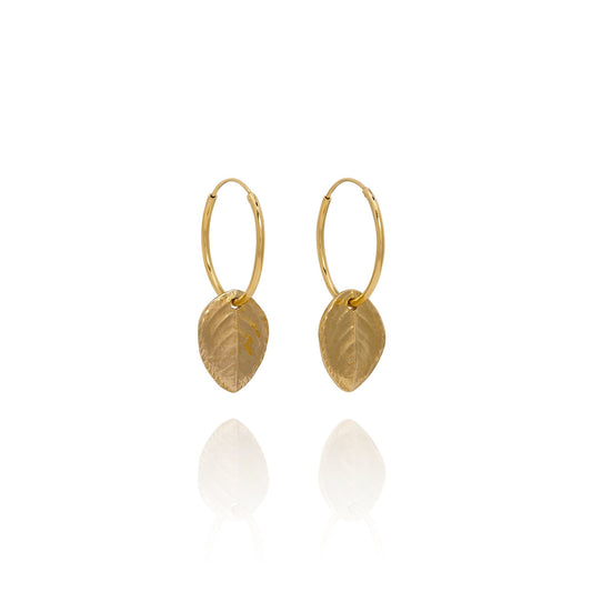Gold Baby Rose Leaf Earrings