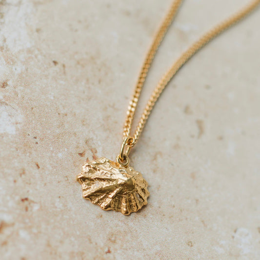 Gold Baby Limpet Shell Necklace