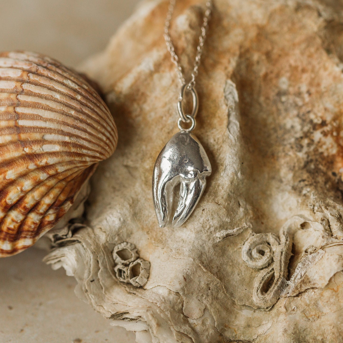 Silver Crab Claw Necklace