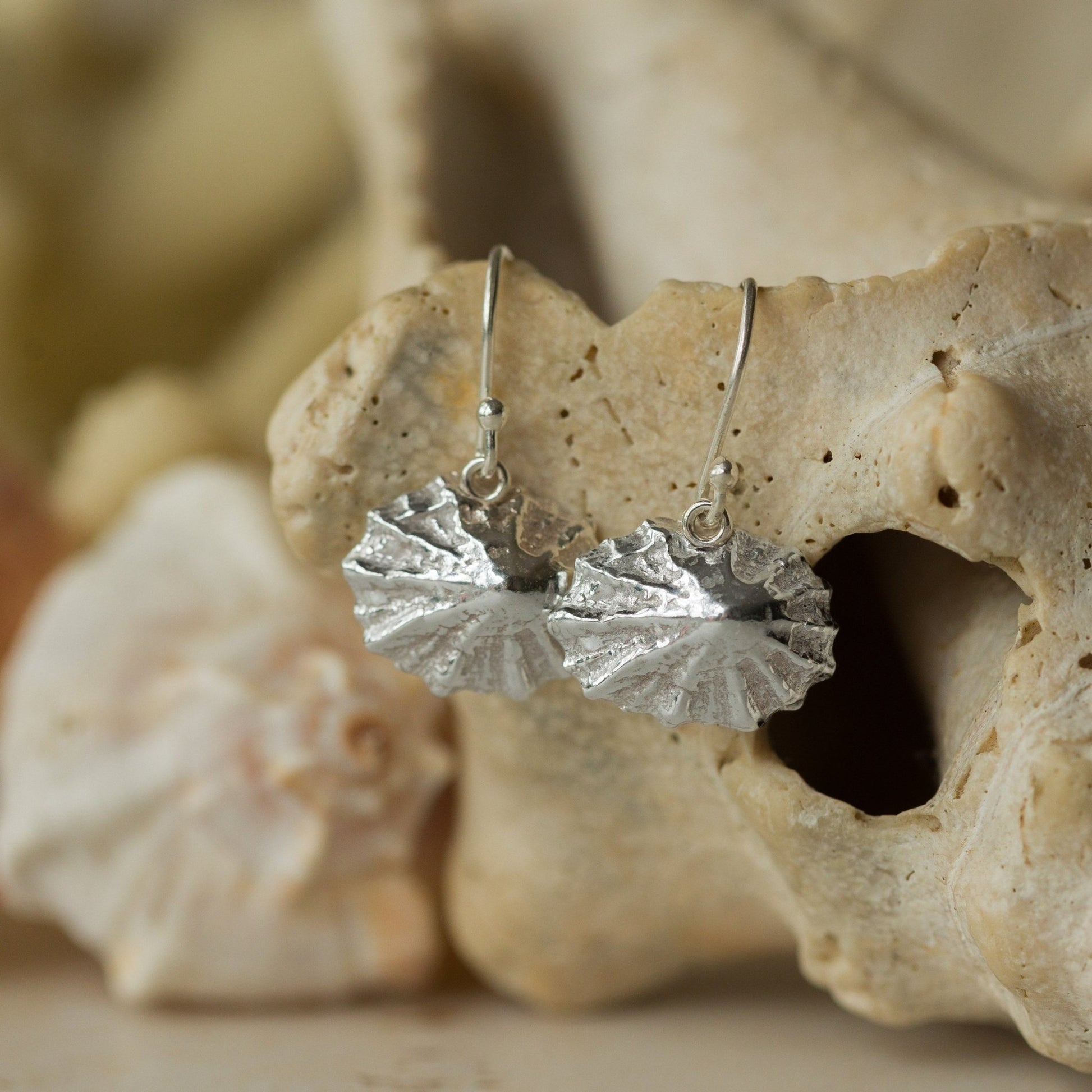 Handmade recycled silver limpet shell drop earrings by Iris and Lolli displayed on natural coastal shells, inspired by the sea and crafted in the UK