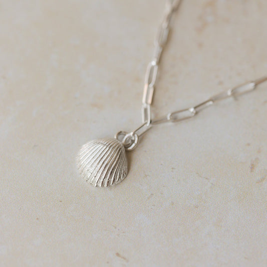 silver cockle shell charm bracelet with paperclip chain photographed on neutral stone background, handcrafted ocean-inspired jewellery by Iris & Lolli