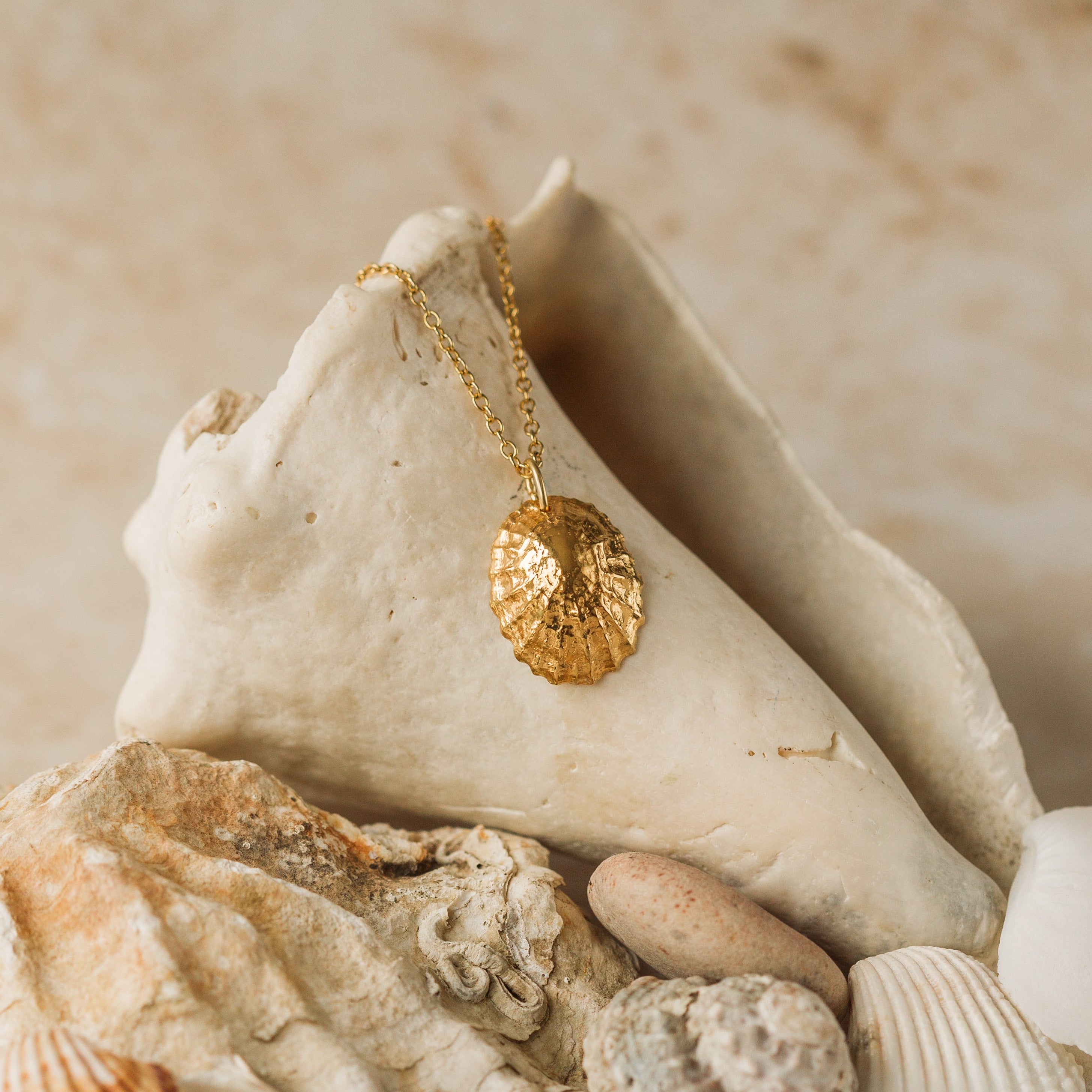 Gold pendant necklace, Limpet shell necklace, made by Iris and Lolli, UK nature inspired jewellery brand