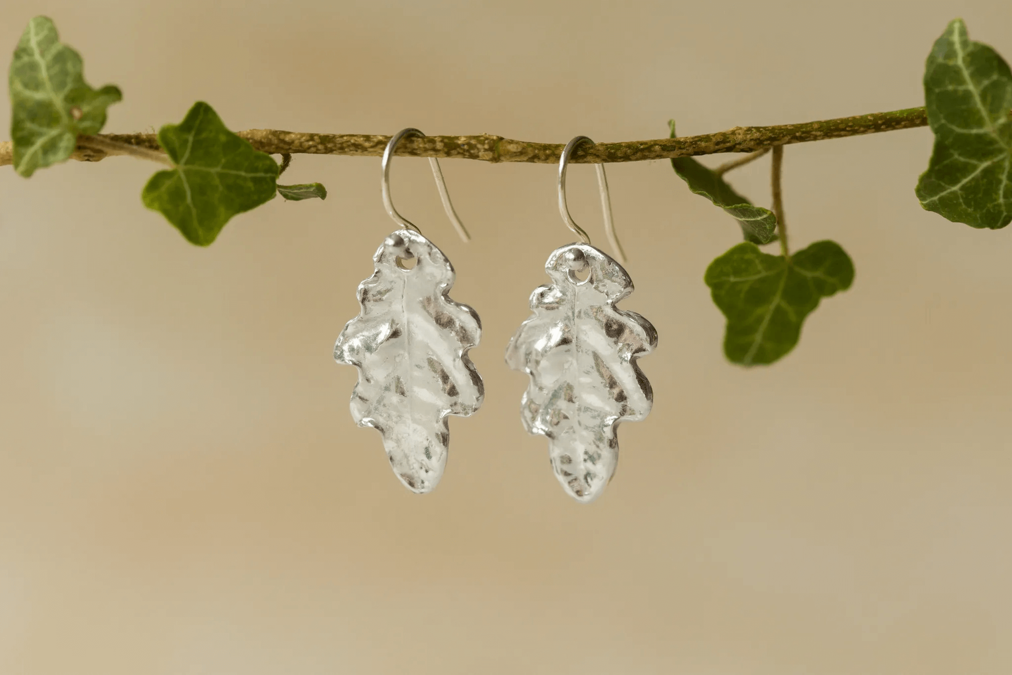 Silver oak leaf earrings hanging on branch, handmade silver earrings uk