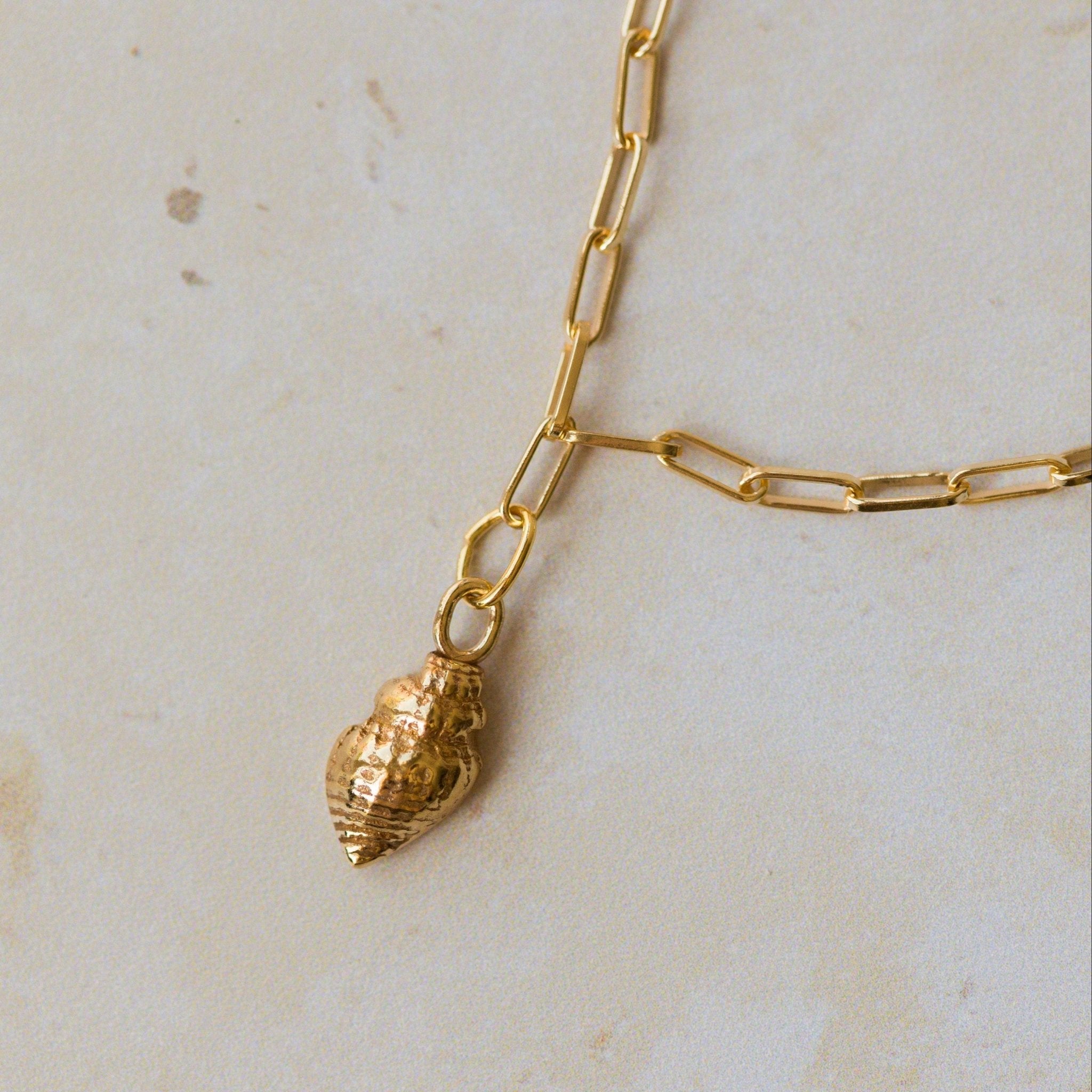 close-up of 18ct gold vermeil whelk shell charm bracelet on paperclip chain by Iris & Lolli