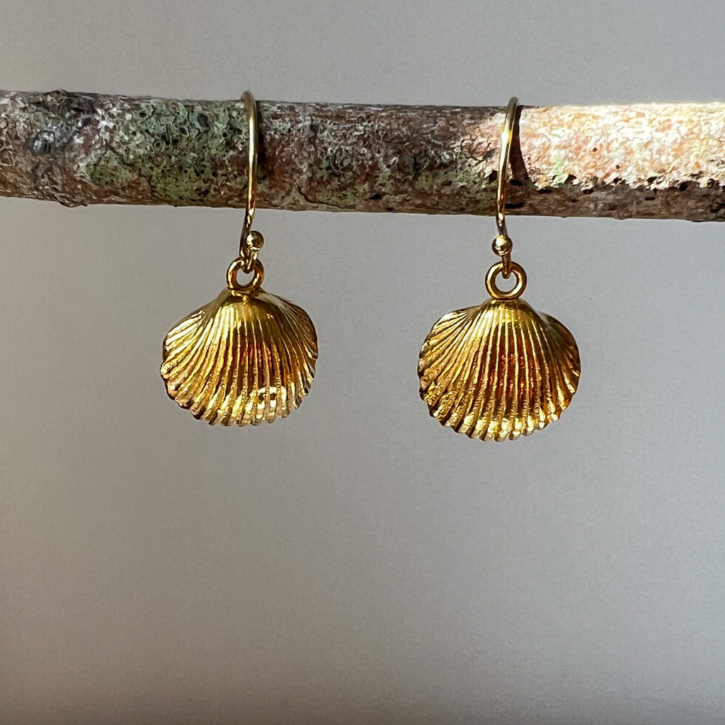 Gold Cockle Shell Earrings