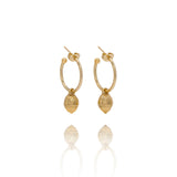 Gold Baby Acorn Earrings