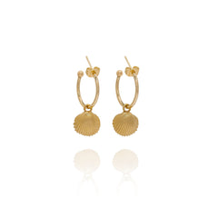 Gold Cockle Shell Earrings – handcrafted nature-inspired jewellery (2)