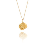Gold Periwinkle Shell Necklace