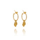 Gold Dainty Shell Earrings