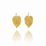 Gold Hazel Leaf Earrings