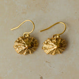 Gold Limpet Shell Earrings