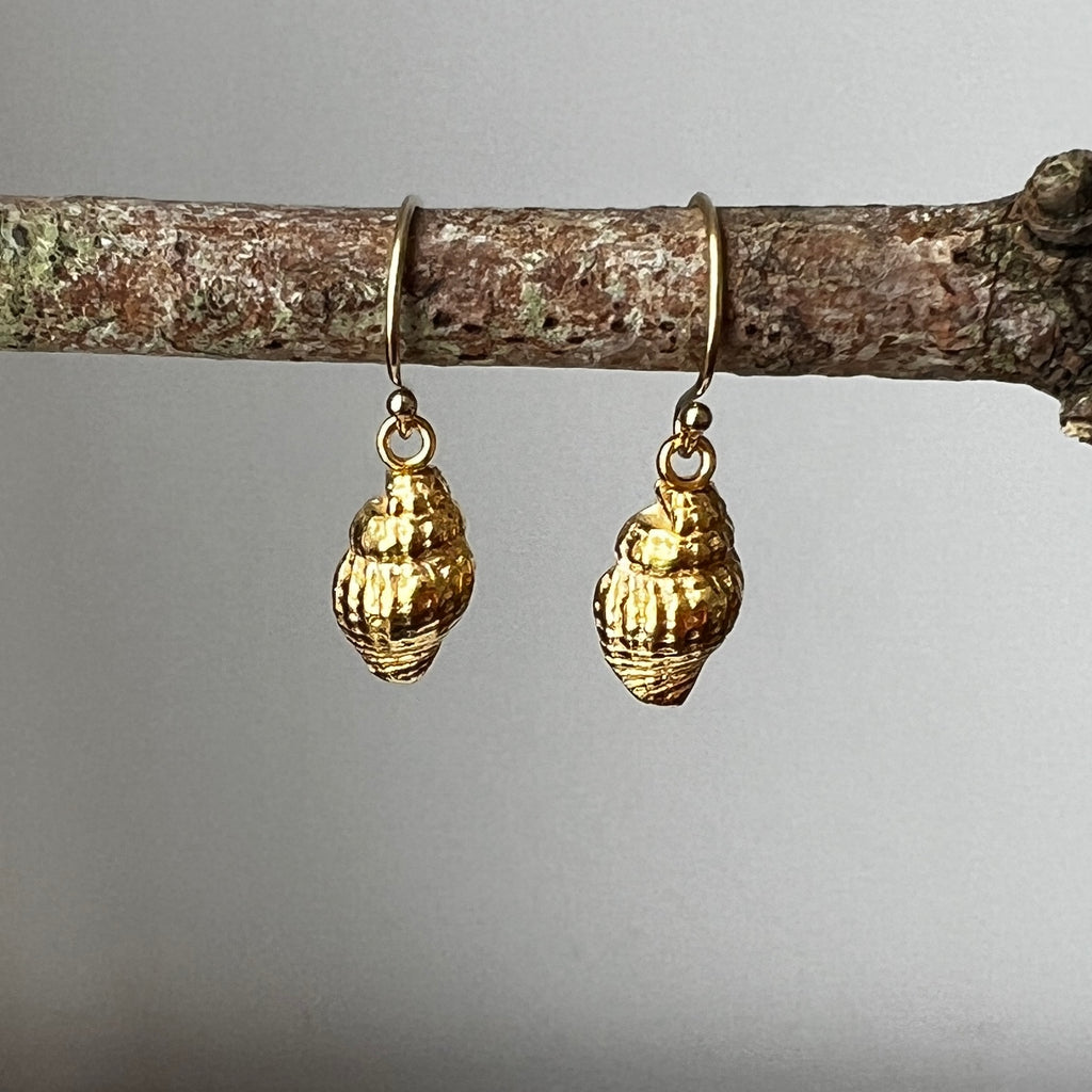 Gold Dainty Shell Earrings