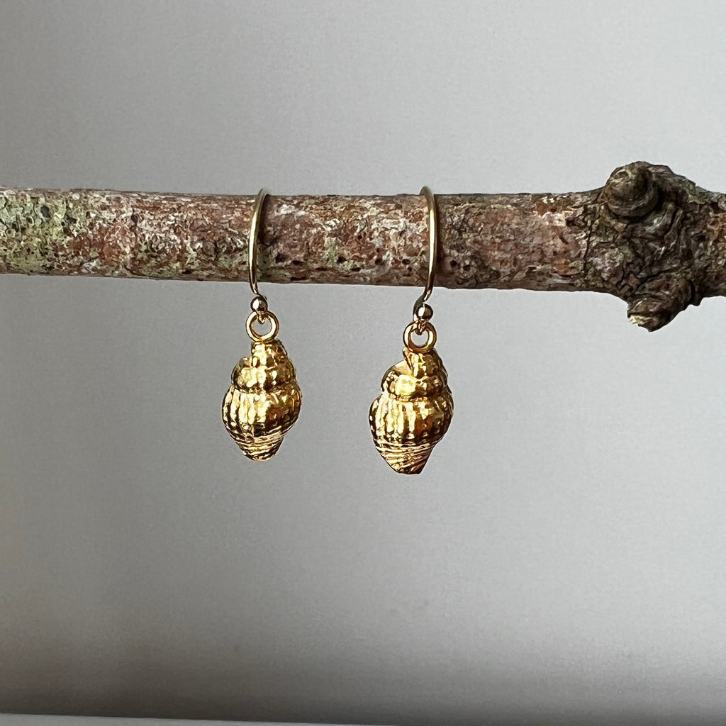 Gold Dainty Shell Earrings