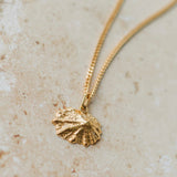 Gold Baby Limpet Shell Necklace