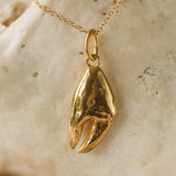 Gold Crab Claw Necklace