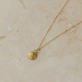 Gold Cockle Shell Earrings & Necklace Set