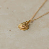 Gold Cockle Shell Necklace
