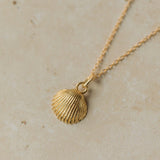 Gold Cockle Shell Necklace