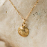 Gold Cockle Shell Necklace