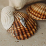 Silver Auger Shell Necklace