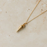 Gold Auger Shell Necklace