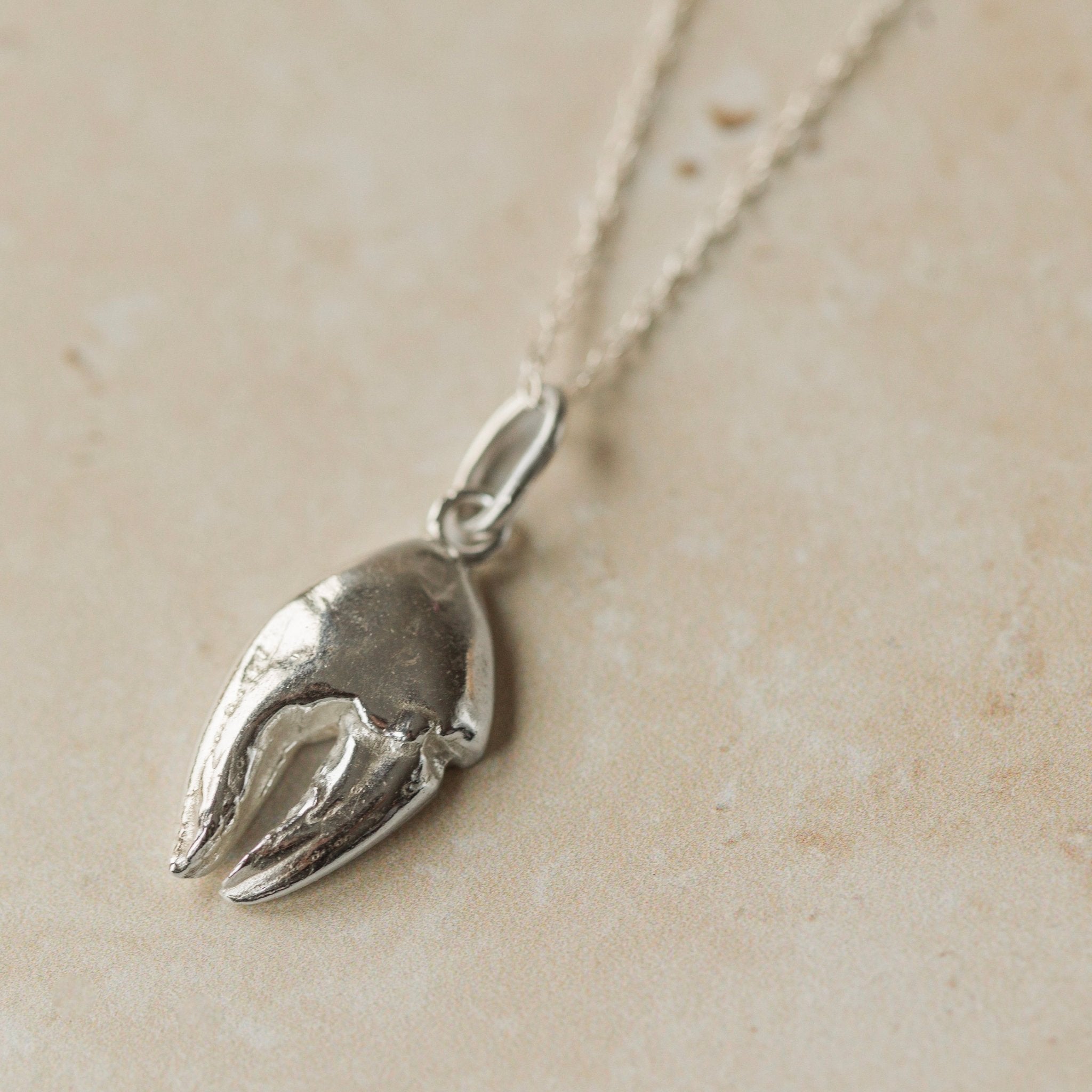 Silver crab claw pendant on a chain against a beige background
