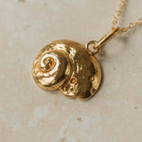 Gold Periwinkle Shell Necklace