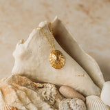 Gold Statement Limpet Shell Necklace