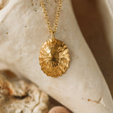 Gold Statement Limpet Shell Necklace