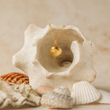 Gold Venus Clam Necklace
