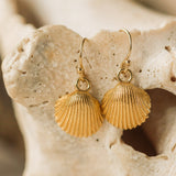 Gold Cockle Shell Earrings & Necklace Set