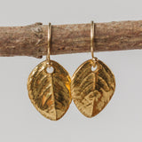 Gold Baby Rose Leaf Earrings