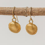 Gold Cockle Shell Earrings