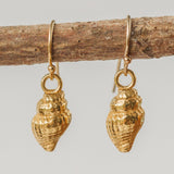 Gold Dainty Shell Earrings