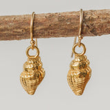 Gold Baby Whelk Shell Earrings & Necklace Set