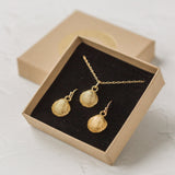 Gold Cockle Shell Earrings