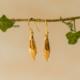 Gold Welsh Poppy Earrings