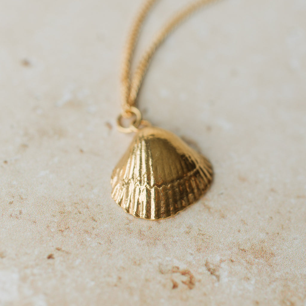 Gold Cockle Shell Necklace
