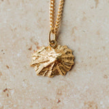 Gold Baby Limpet Shell Necklace
