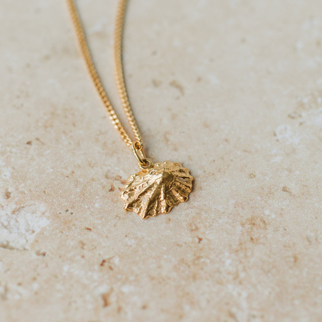 Gold Baby Limpet Shell Necklace