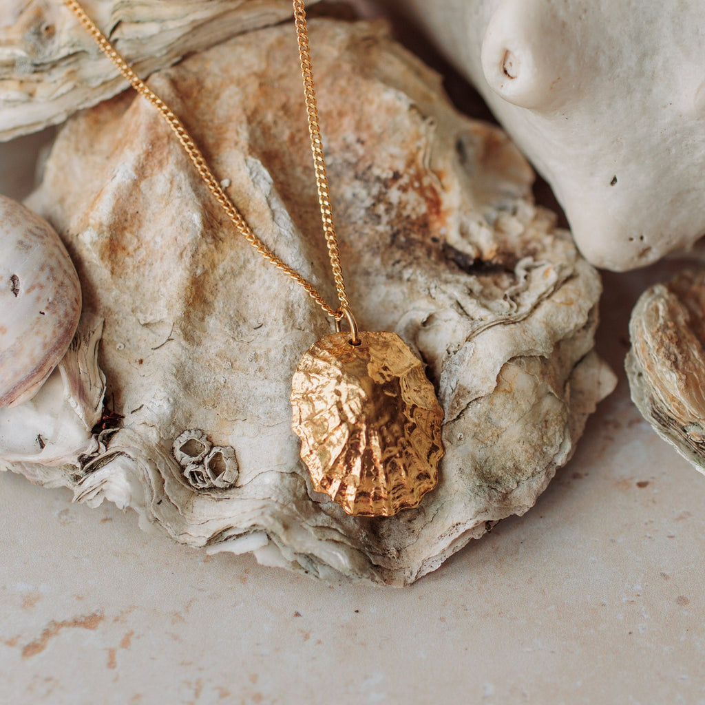 Gold Statement Limpet Shell Necklace
