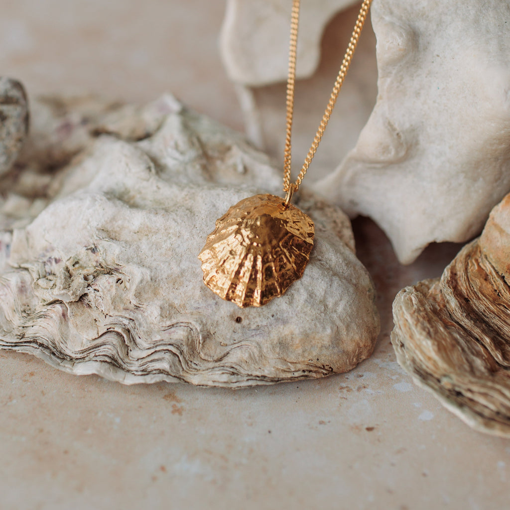 Gold Statement Limpet Shell Necklace