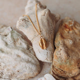 Gold Cowrie Shell Necklace