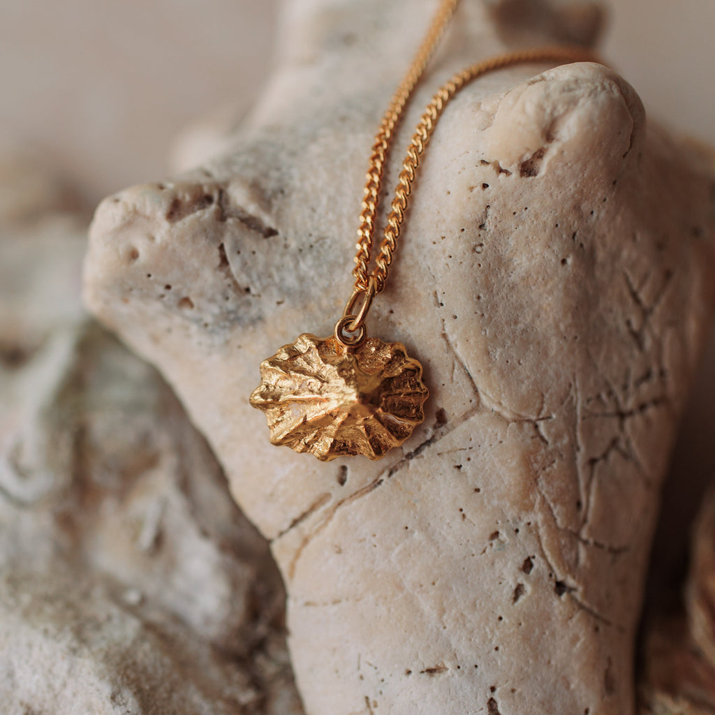 Gold Baby Limpet Shell Necklace