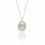 Silver Statement Limpet Shell Necklace