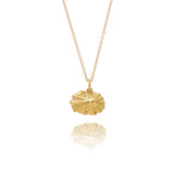 Gold Baby Limpet Shell Necklace