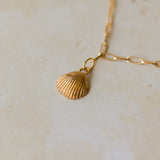 gold cockle shell charm bracelet on fine paperclip chain, handcrafted coastal-inspired jewellery by Iris & Lolli