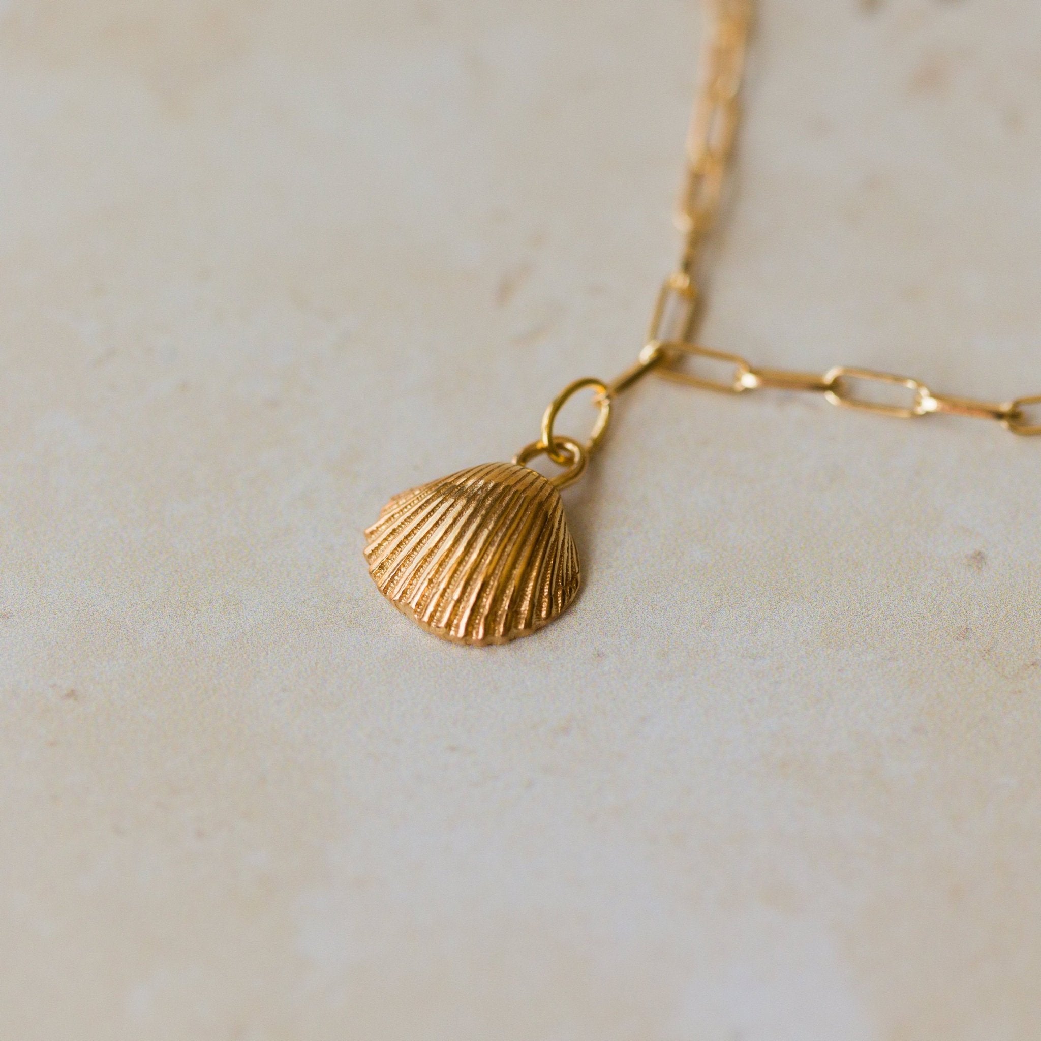gold cockle shell charm bracelet on fine paperclip chain, handcrafted coastal-inspired jewellery by Iris & Lolli