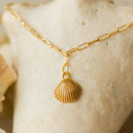 gold cockle shell charm bracelet by Iris & Lolli resting on natural shell background, ocean-inspired handcrafted jewellery