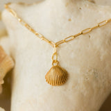 gold cockle shell charm bracelet by Iris & Lolli resting on natural shell background, ocean-inspired handcrafted jewellery